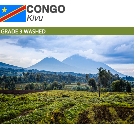 Congo Kivu Grade 3 Washed | Boxes