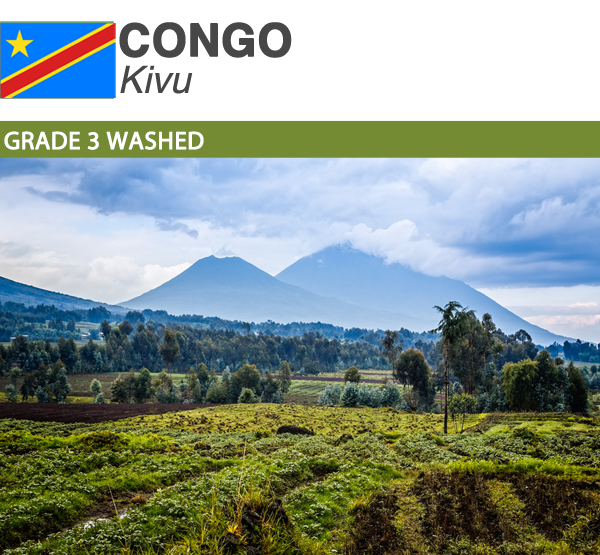Congo Kivu Grade 3 Washed | Boxes