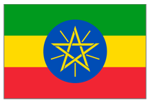 Ethiopia Washed Gr.2 Yirgacheffe FT / Organic (ET)