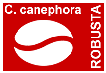 India Washed Robusta Kaapi Royal A Grade Screen 17 (ET) [5.81/Lb.] x 152 Lbs.