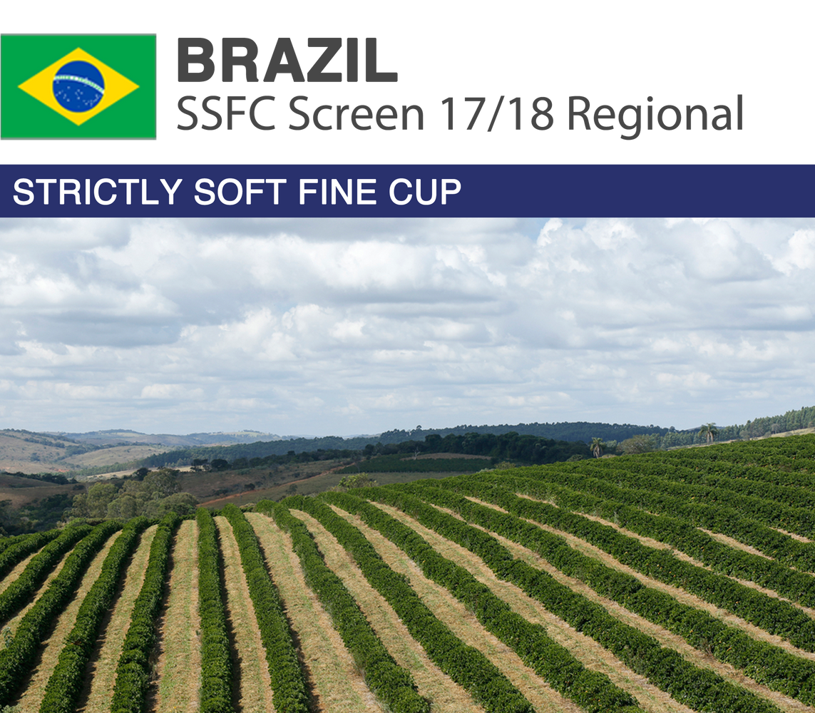 Green Coffee, Brazil, SSFC, Unroasted Coffee