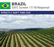 Green Coffee, Brazil, SSFC, Unroasted Coffee