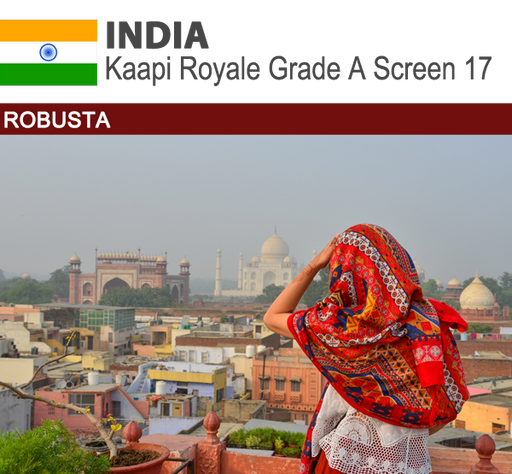 India Robusta