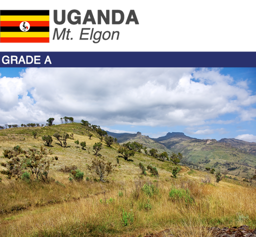 Uganda Mt. Elgon | Boxes