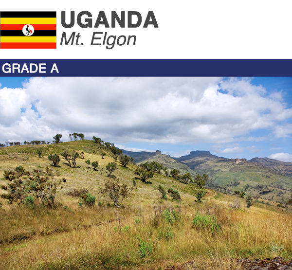 Uganda Mt. Elgon | Boxes