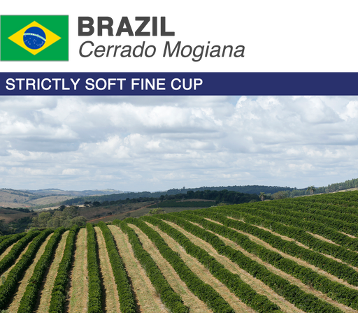 Brazil Cerrado Green Coffee Beans - Capturing the Essence of Brazilian Terroir