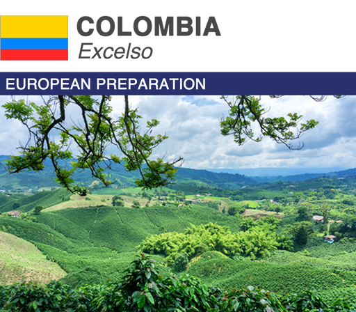 Premium Colombia Excelso green coffee beans sourced from Andean heights, featuring bright citrus notes, dark chocolate hints, and caramelized sweetness