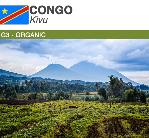 Exquisite Congo Green Coffee Beans - Distinctive Earthy and Exotic Flavors