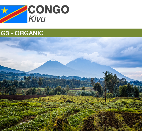 Exquisite Congo Green Coffee Beans - Distinctive Earthy and Exotic Flavors