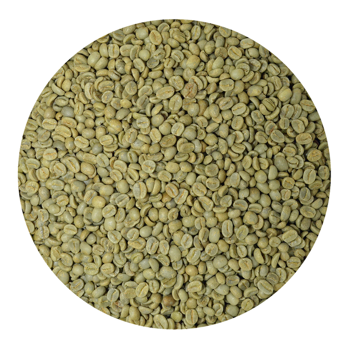 Green Coffee Beans Costa Rica Tarrazu