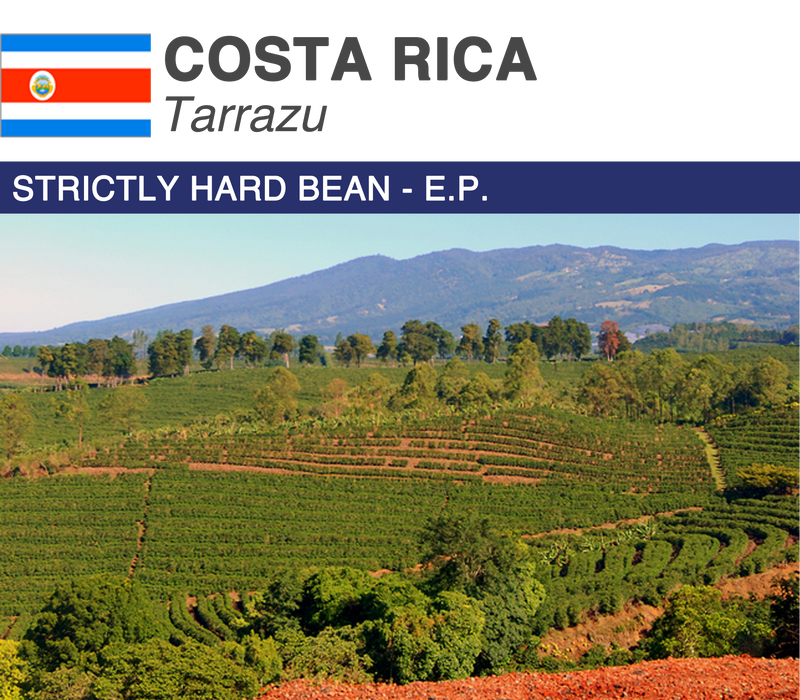 Costa Rica Tarrazu Coffee Beans - A Taste of Purity and Elevation