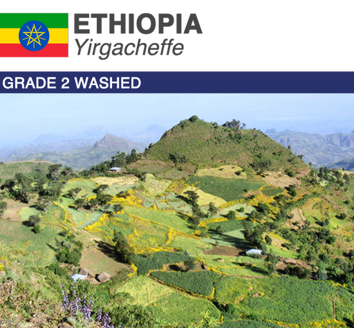 Green Coffee Product Image Ethiopia Yirgacheffe
