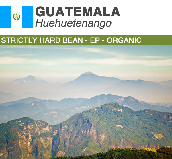 Green Coffee Product Image Guatemala Organic