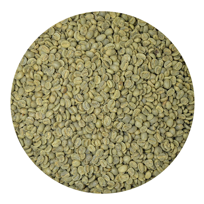Green Coffee Beans Honduras