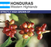 Green Coffee Product Image Honduras