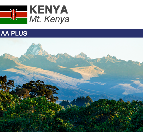 Green Coffee Kenya AA Plus Product Image