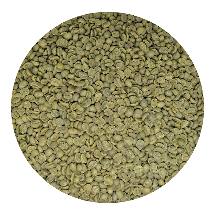 Green Coffee Beans Mexico Chiapas