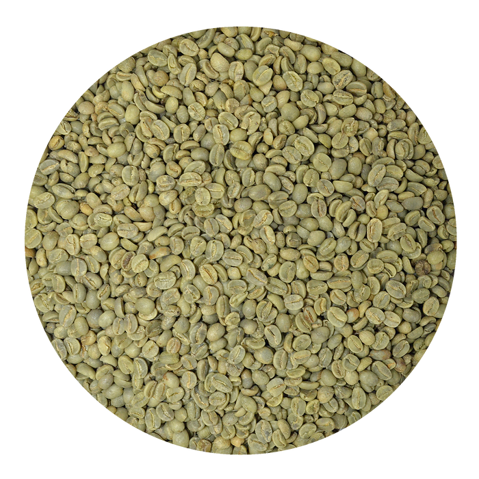 Green Coffee Beans Mexico Chiapas Organic