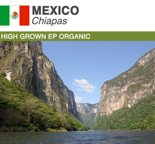 Green Coffee Product Image Mexico Chiapas Organic