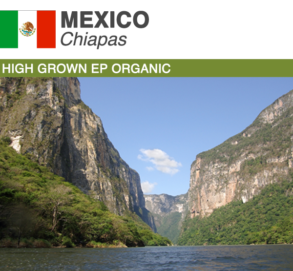 Green Coffee Product Image Mexico Chiapas Organic