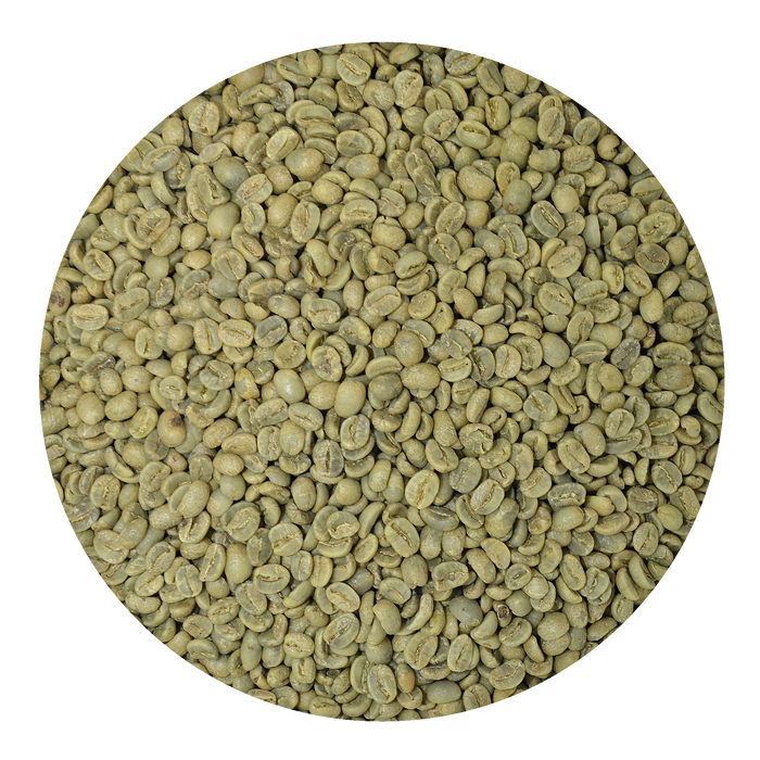 Green Coffee Beans Nicaragua Jinotega