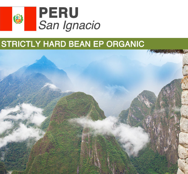 Green Coffee Product Image Peru Organic