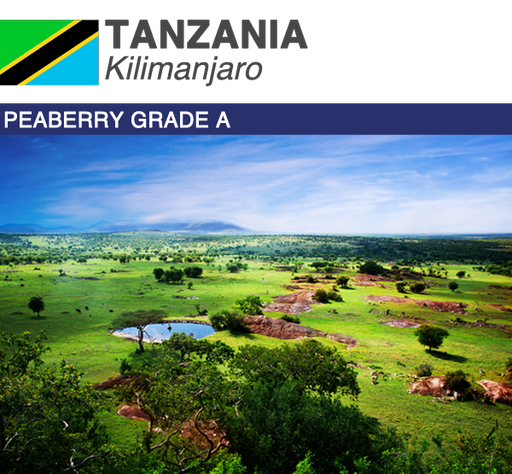 Tanzania Peaberry Kilimanjaro